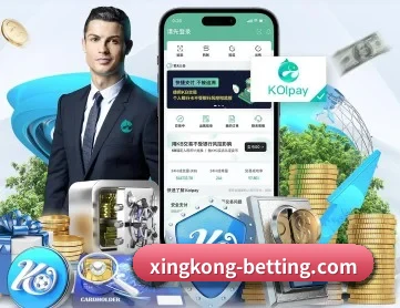 星空体育网站 APP