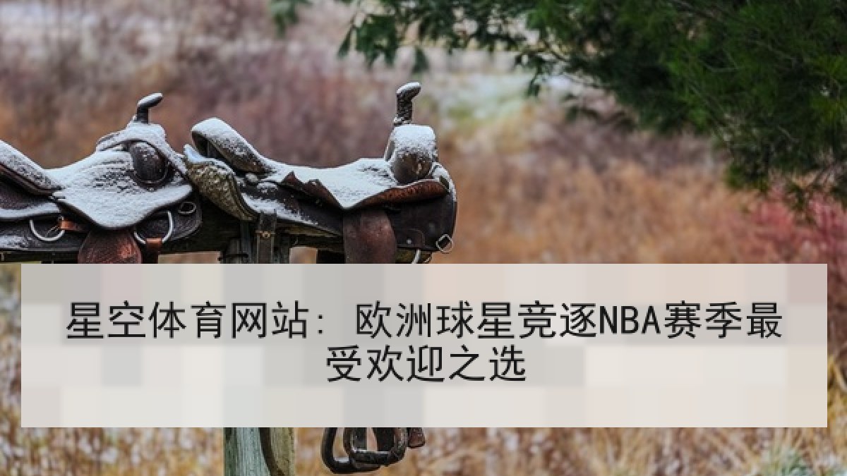 星空体育网站: 欧洲球星竞逐NBA赛季最受欢迎之选