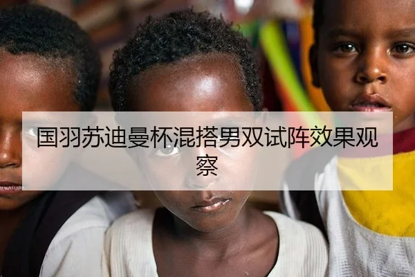 国羽苏迪曼杯混搭男双试阵效果观察