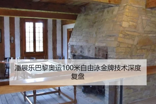 潘展乐巴黎奥运100米自由泳金牌技术深度复盘