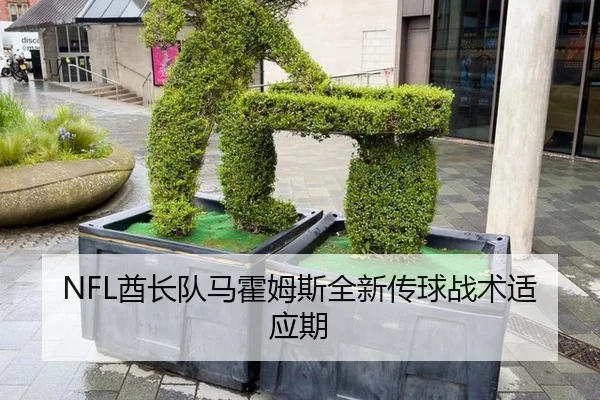 NFL酋长队马霍姆斯全新传球战术适应期