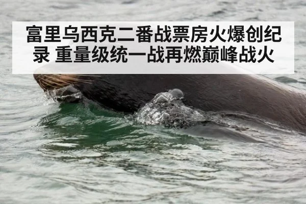 富里乌西克二番战票房火爆创纪录 重量级统一战再燃巅峰战火
